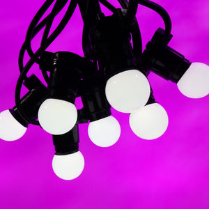 Festoon Package - Opaque Cold White LED Lamps - 20m + 40 BC Lamps