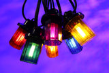 Turnock Heavy Duty Royale Lanterns with Coloured Shades - Black Cable