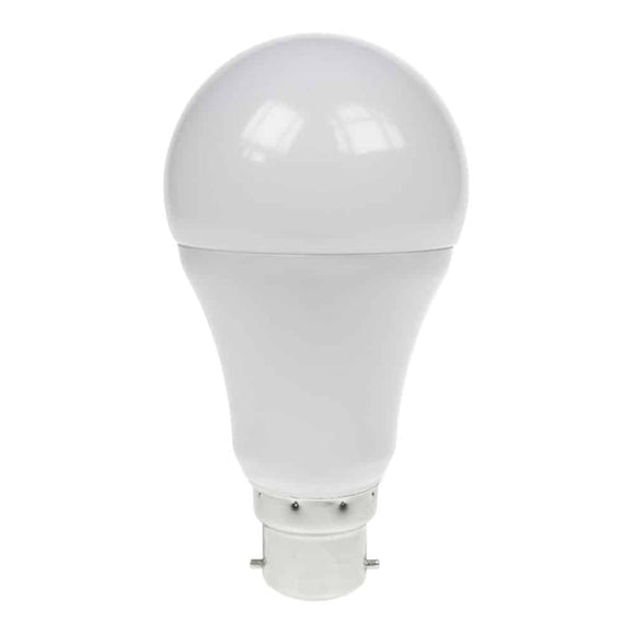 Prolite 110V-240V 8.5W BC 6400K Daylight White LED GLS Festoon Lamp