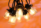 Royale Lanterns - 20M with 20 Clear Lanterns @ 1M Spacing - Black Cable