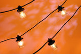 Royale Lanterns - 25M with 50 Clear Lanterns @ 0.5M Spacing - Black Cable