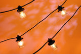 Royale Lanterns - 50M with 50 Clear Lanterns @ 1M Spacing - Black Cable