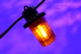 Royale Lanterns - 20M with 20 Coloured Lanterns @ 1M Spacing - Black Cable